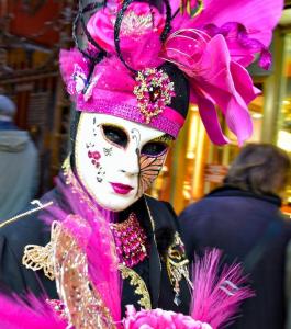 Portrait fuchsia